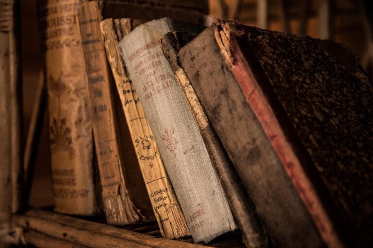 Eksplorasi Ruang Baca Perpustakaan Kota Bima: Menjadi Pusat Literasi dan Inovasi Masyarakat